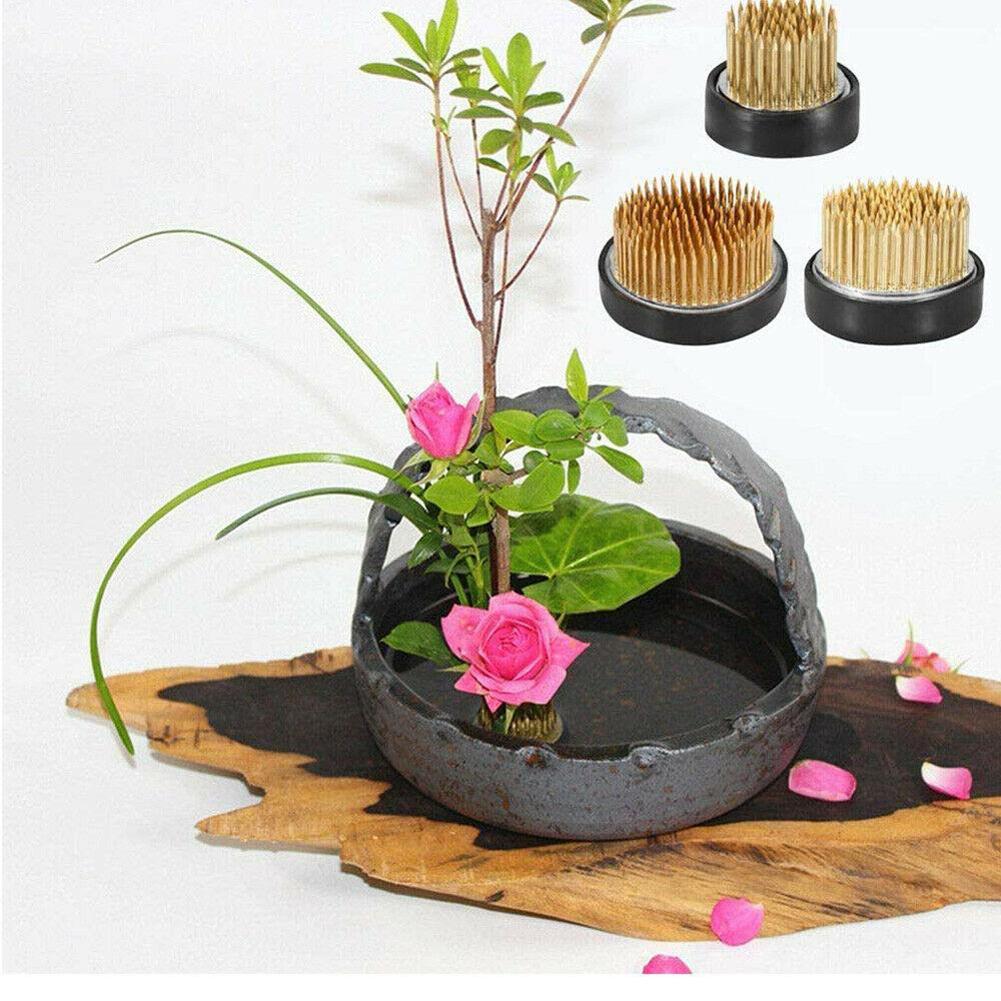 Ikebana Vase Kenzan - Katak bunga Ikebana bulat dengan alat