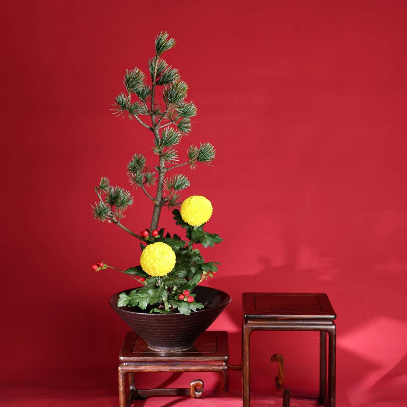 Vas katak Jepang buket bunga k - Ikebana Vase Kenzan ulasan dan harga