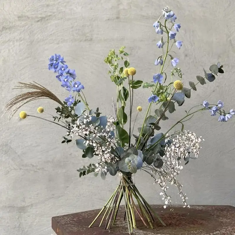 Pemegang Stem Ikebana Spiral,  - Ikebana Vase Kenzan ulasan dan harga